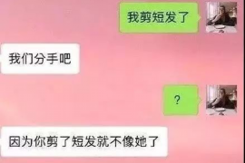 萍乡债务清欠服务